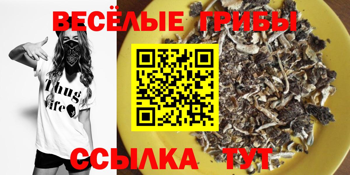 Псилоцибиновые грибы Magic Shrooms  Вход с VPN  Киржач 